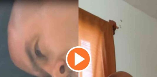 lo-envia-manuel-velasco-revelan-nuevo-video-de-david-leon-entregando-dinero-para-campana-de-morena
