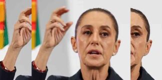 no-es-menor-que-una-senadora-pida-la-intervencion-de-eu-sheinbaum-por-entrevista-de-tellez-en-fox-news