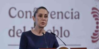 no-va-a-haber-invasion-trump-nos-informo-sobre-la-orden-contra-los-carteles-sheinbaum