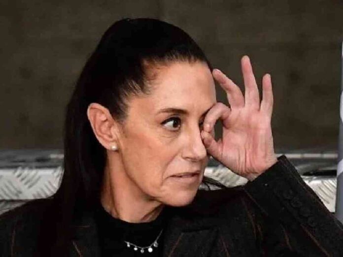 sheinbaum-critica-convocatoria-de-norma-pina-en-la-scjn