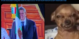 Memes del esposo de Sheinbaum