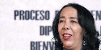 ¿Quién es Hilda Araceli Brown?