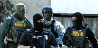 dea-planteo-atacar-a-los-carteles-en-mexico-casa-blanca-se-opuso-twp