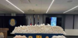 mexico-no-colaboro-con-la-dea-en-golpe-millonario-al-cjng-afirma-sheinbaum