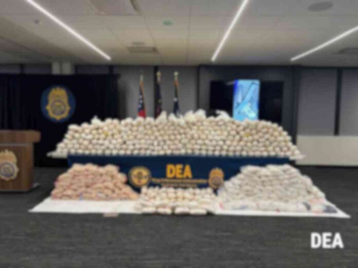 mexico-no-colaboro-con-la-dea-en-golpe-millonario-al-cjng-afirma-sheinbaum mexico-no-colaboro-con-la-dea-en-golpe-millonario-al-cjng-afirma-sheinbaum