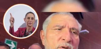 sheinbaum-hunde-a-adan-augusto-dice-que-no-sabia-nada-de-hernan-bermudez-pero-el-y-amlo-pidieron-su-destitucion