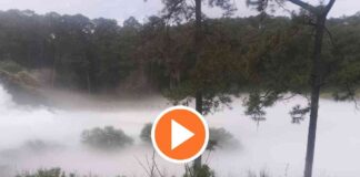 video-reportan-fuga-de-gas-en-ducto-de-pemex-en-nanacamilpa-tlaxcala