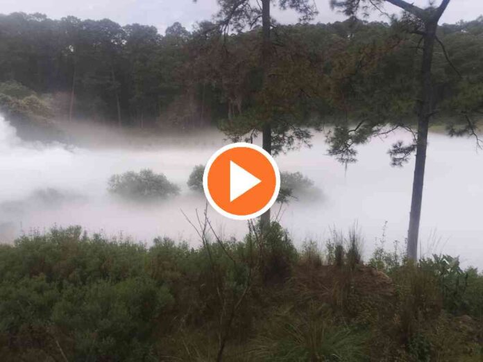 video-reportan-fuga-de-gas-en-ducto-de-pemex-en-nanacamilpa-tlaxcala (1) video-reportan-fuga-de-gas-en-ducto-de-pemex-en-nanacamilpa-tlaxcala