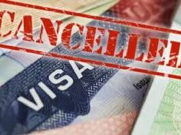 razones por las que pueden cancelar visas