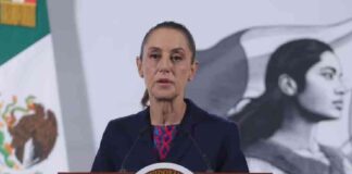 mas-que-atentado-fueron-pedradas-dice-sheinbaum-sobre-ataque-contra-noboa