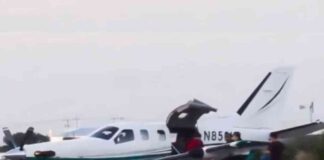 norona-hace-gira-en-avion-privado-de-lujo-renta-costo-280-mil-pesos-por-7-h