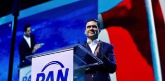 pan-tiene-un-pequeno-problema-no-tienen-proyecto-sheinbaum