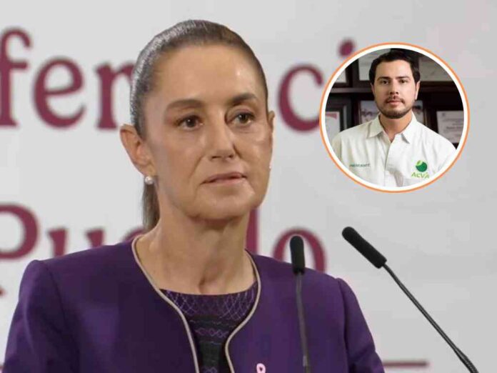 sheinbaum-lamenta-asesinato-de-bernardo-bravo-lider-limonero-en-michoacan sheinbaum-lamenta-asesinato-de-bernardo-bravo-lider-limonero-en-michoacan