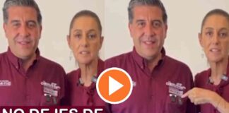 video-asi-pedia-sheinbaum-votar-por-el-exdirector-del-fonden